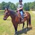 Scooterâ€™s Battle with Keratomycosis
